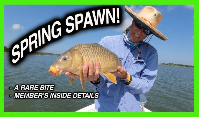 carp on fly