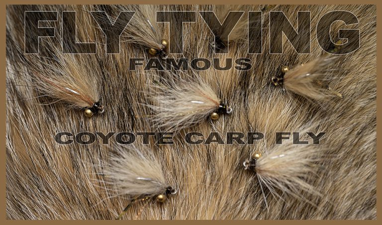 tie a carp fly